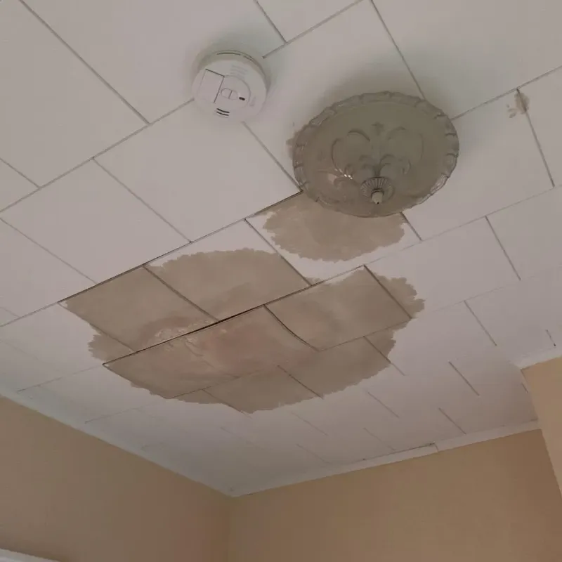Ceiling Water Damage Repair in Bourbon County, KS