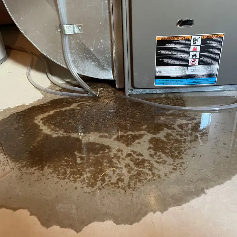 Pipe Burst and Leak Restoration in Bourbon County, KS