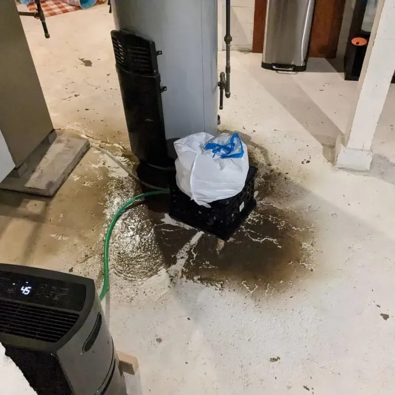 Sewage Backup Cleanup Service in Bourbon County, KS